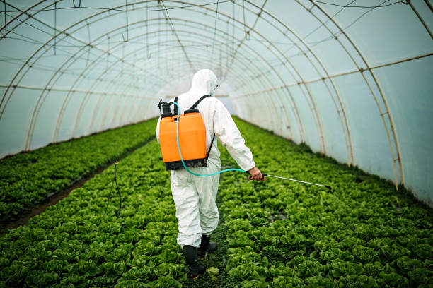 Best Local Pest Control Services  in Crooked River Ranch, OR