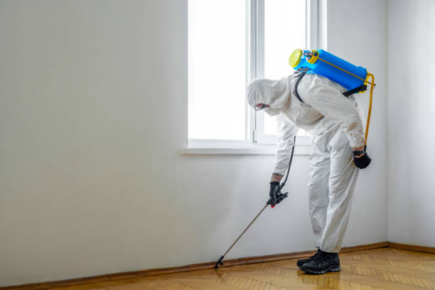 Best Rat Extermination Near Me  in Crooked River Ranch, OR