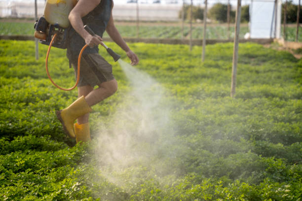 Best Affordable Pest Control Services  in Crooked River Ranch, OR