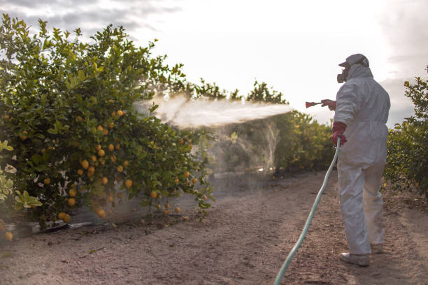 Best Pest Inspection Near Me  in Crooked River Ranch, OR
